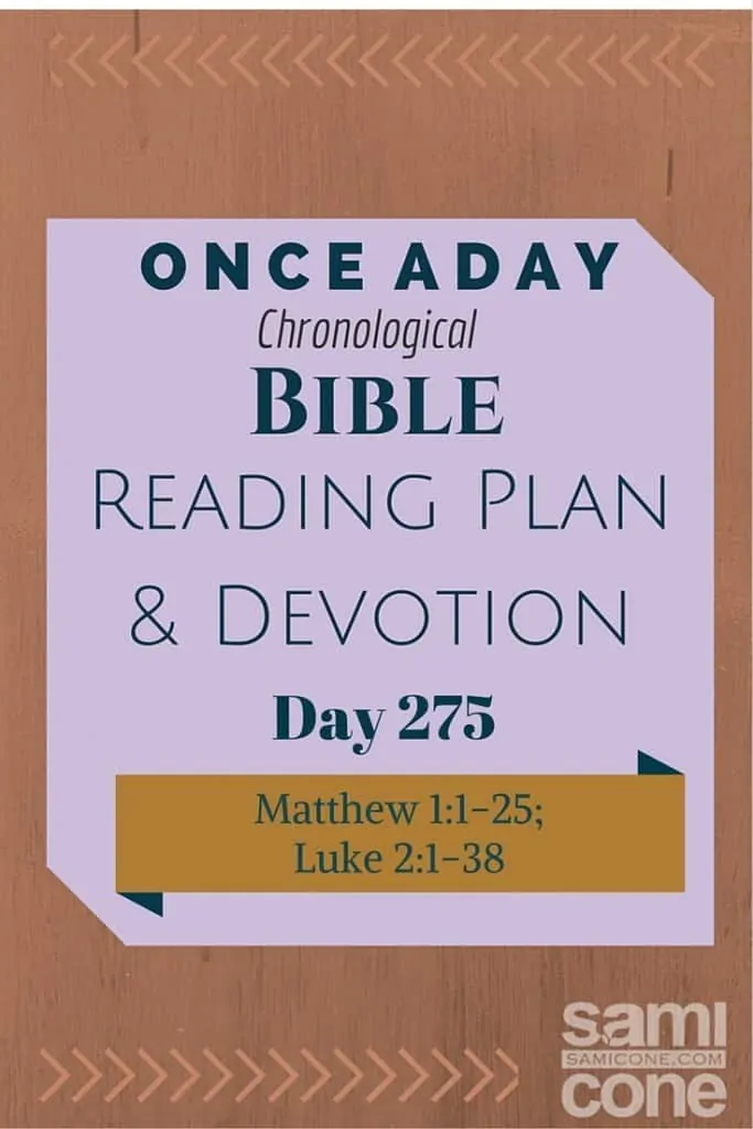 Once A Day Bible Reading Plan & Devotion Day 275
