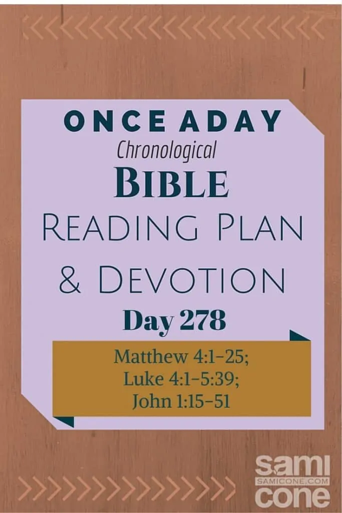 Once A Day Bible Reading Plan & Devotion Day 278