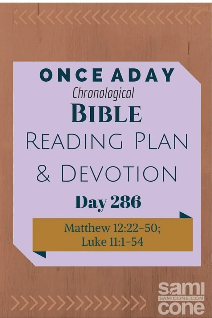 Once A Day Bible Reading Plan & Devotion Day 286