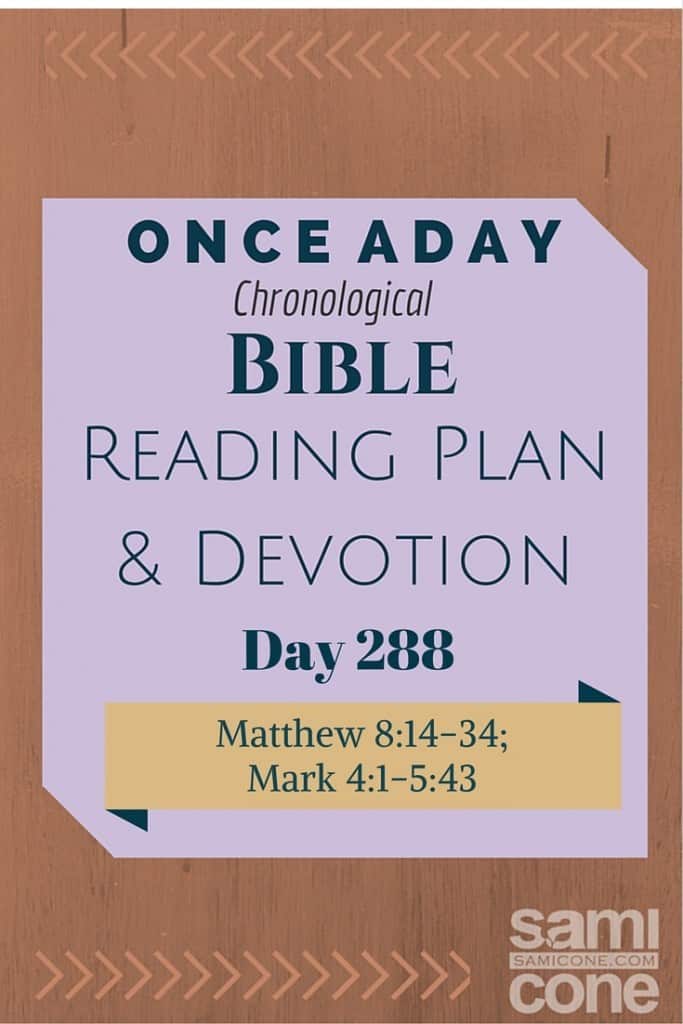Once A Day Bible Reading Plan & Devotion Day 288