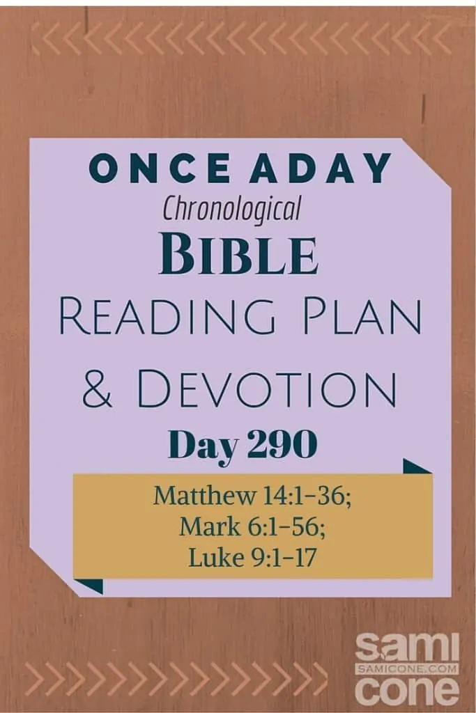 Once A Day Bible Reading Plan & Devotion Day 290
