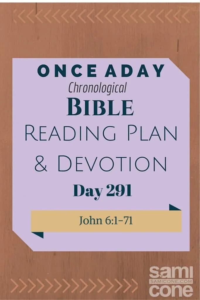 Once A Day Bible Reading Plan & Devotion Day 291