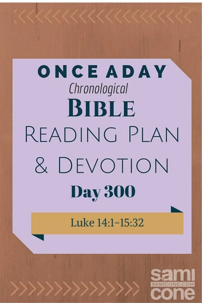 Once A Day Bible Reading Plan & Devotion Day 300