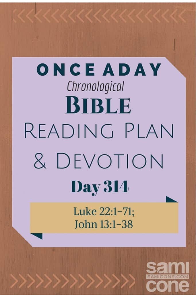 Once A Day Bible Reading Plan & Devotion Day 314