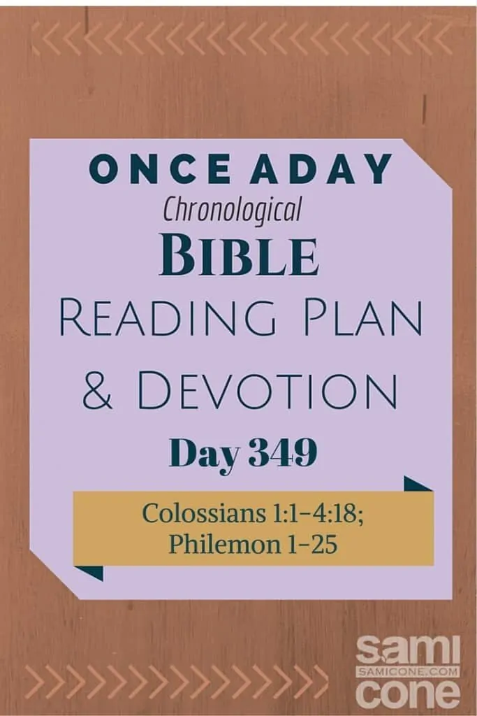 Once A Day Bible Reading Plan & Devotion Day 349