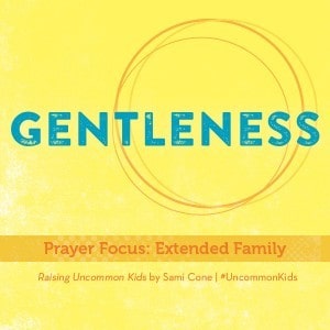 Gentleness Raising Uncommon Kids