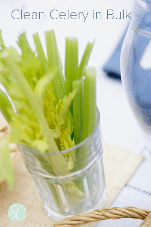 Clean Celery in Bulk