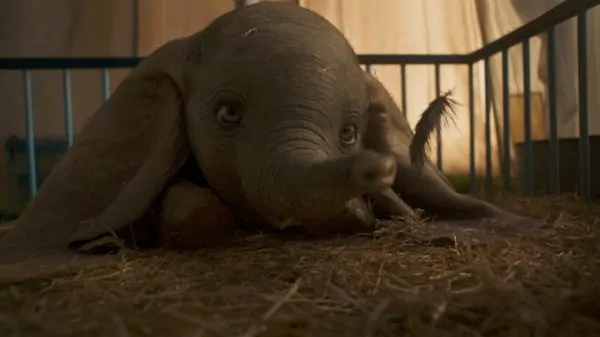 baby dumbo 2019 with feather