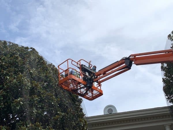 Sami Cone Opryland Christmas Lights Cherry Picker 2020