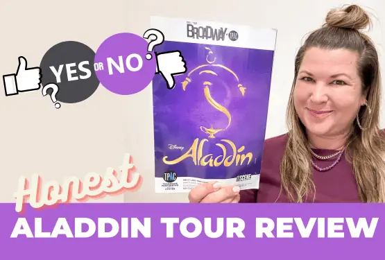 Honest Aladdin Tour Review blog image
