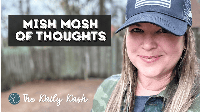 Mish Mosh of Thoughts {Daily Dash: November 21, 2023}